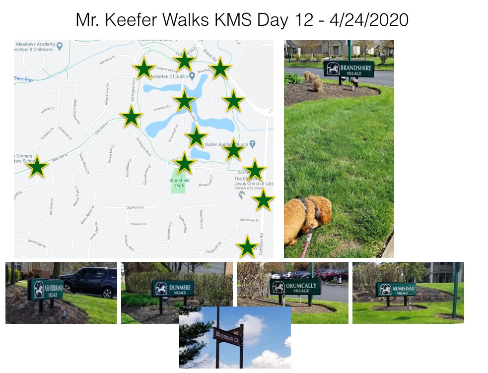 KMSRoom229's tweet photo. It was a fabulous sunny day and Juno, @juliekeefer and I almost walked 4 miles on the #KMSWander today. I know we must have passed where lots of @KarrerMS peeps live today. https://t.co/GZmPHAqDeG