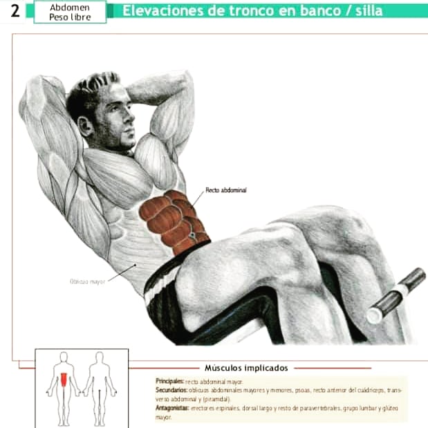 medifisik's tweet photo. #recomendaciones para incorporar a tu #rutina y tener un #abdomen de hierro. 💯
Y recuerda que contamos con el servicio de #asesoría en #entrenamiento. 🏋️‍♀️🏃‍♂️⛹️‍♀️ https://t.co/QszJftTLKu
