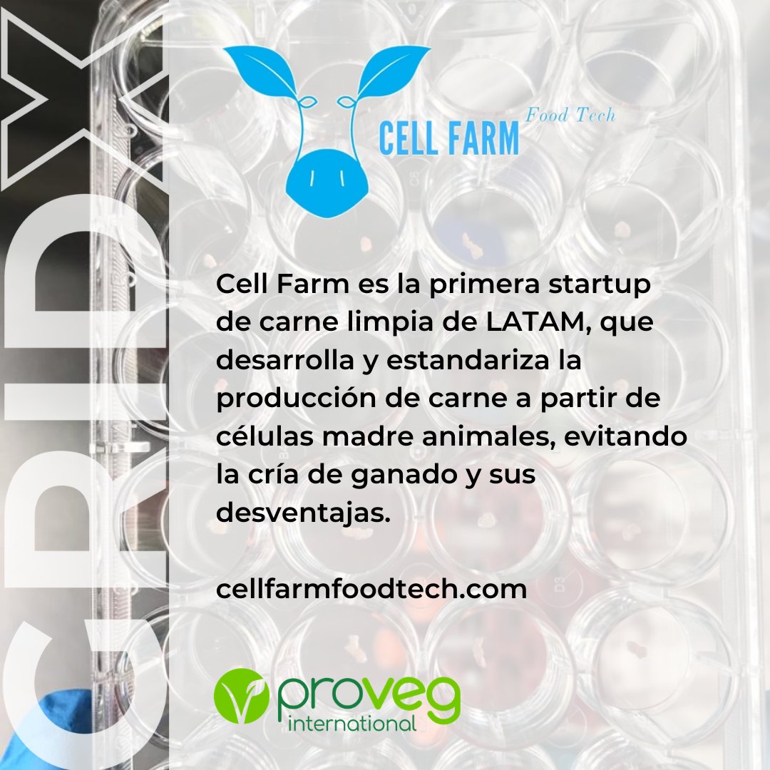 gridexp's tweet photo. BATCH 1, 2018 (1): Pitchearon bajo las estrellas... @Algaebiomas le saca provecho a la fotosíntesis obteniendo ingredientes de forma sustentable, 
@BiotechZev cree en el diagnóstico molecular sin fronteras, y Cell Farm busca que podamos comer carne de vaca, sin matar vacas. https://t.co/5UYIkDb0zH