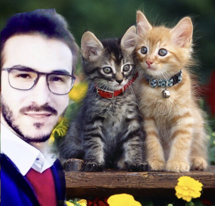 Hayat bisiklet gibidir iletledikce gider sizde ilerlemeye devam edin muhakkak bir yere varacaksiniz