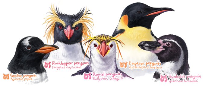 4月25日は #世界ペンギンの日 #WorldPenguinDay ! 