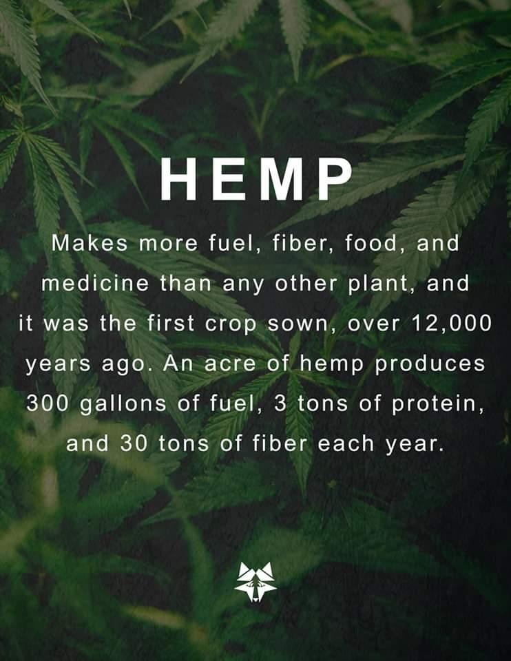 I haven't posted about #hemp for a while but here's a reminder why it's so amazing & how it can transform our societies, industries, #supplychainstrategy & world for the better.
 #hempindustry #industrialhemp #auspol