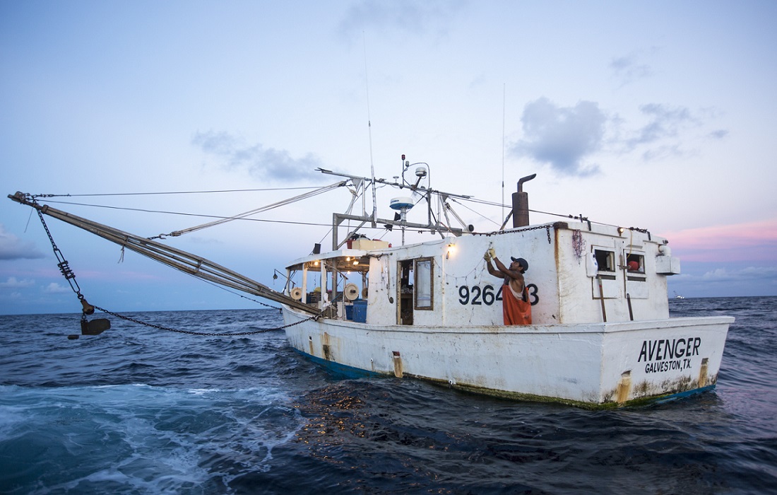 ShareTheGulf's tweet photo. In the Midst of the COVID-19 Pandemic, 20 Sustainable Seafood Organizations Encourage Consumers to Buy Seafood and Support the Industry #fisheries #seafood Read more here: https://t.co/xTvjHsKWcm https://t.co/P2pTj6noAc