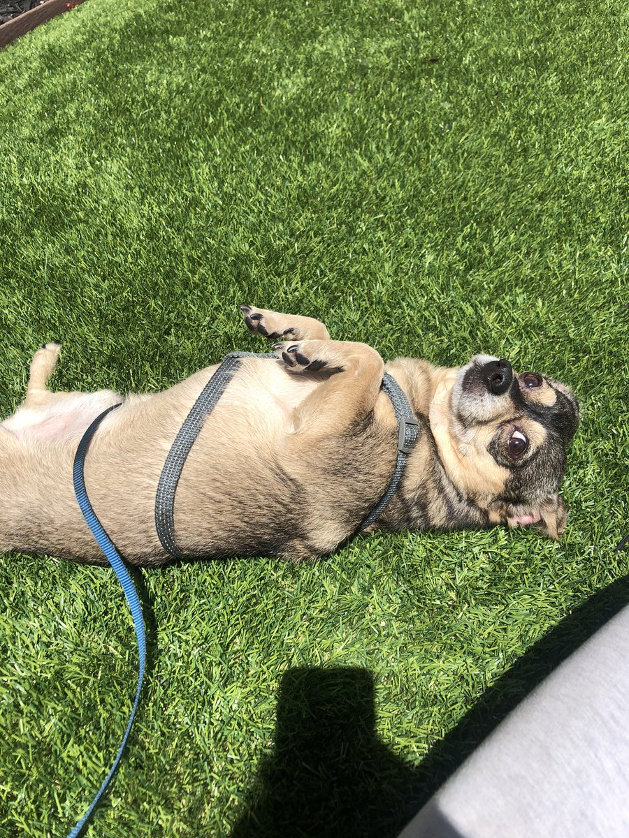 yourRHOleModel's tweet image. Riley over this heat n shit #BringBackCold