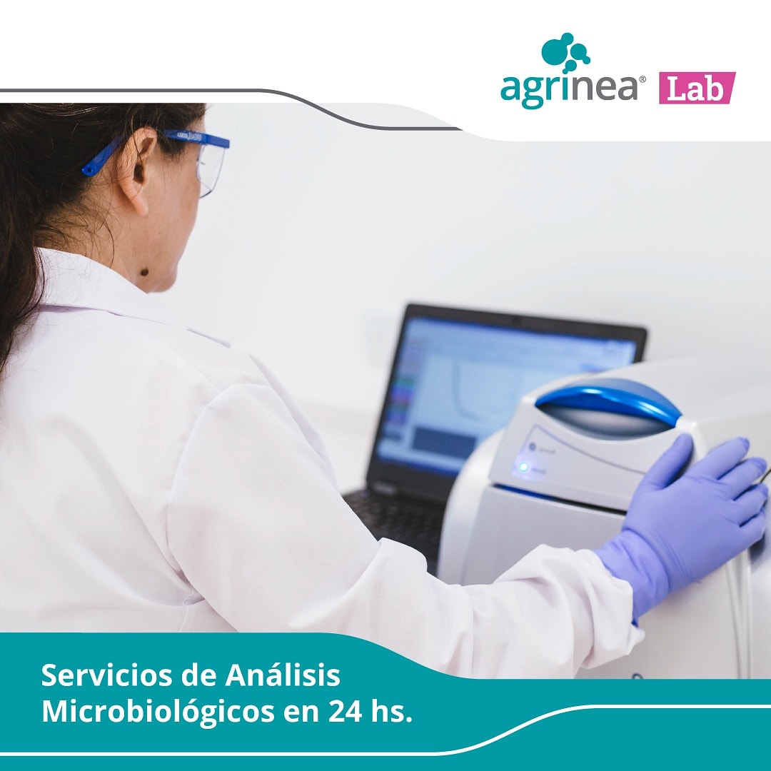agrinea's tweet photo. No más demoras. #AgrineaLab te ofrece Servicios de Laboratorios de Microbiología en 24 hs.
➡️Análisis para Salmonella E,. coli O157:H7 y
➡️ Listeria por Método PCR. 🗜️⏳con resultados de screening en un día.
#agrinea Precisión en los procesos, calidad en los resultados https://t.co/lkFKDU5RFi