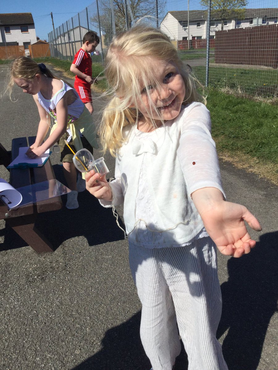 HubMillbank's tweet photo. We have been having fun designing insect friendly gardens and bug hunting. https://t.co/ex3MsMZctV