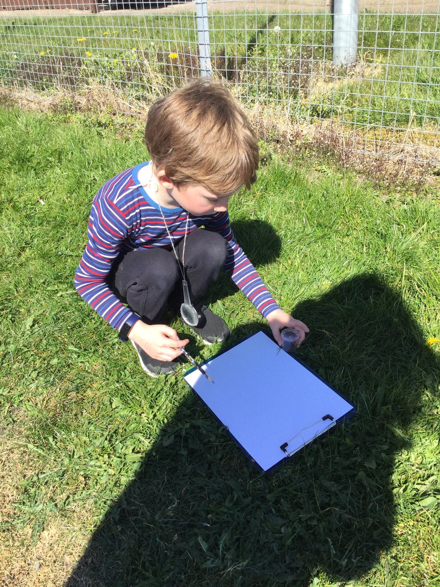 HubMillbank's tweet photo. We have been having fun designing insect friendly gardens and bug hunting. https://t.co/ex3MsMZctV