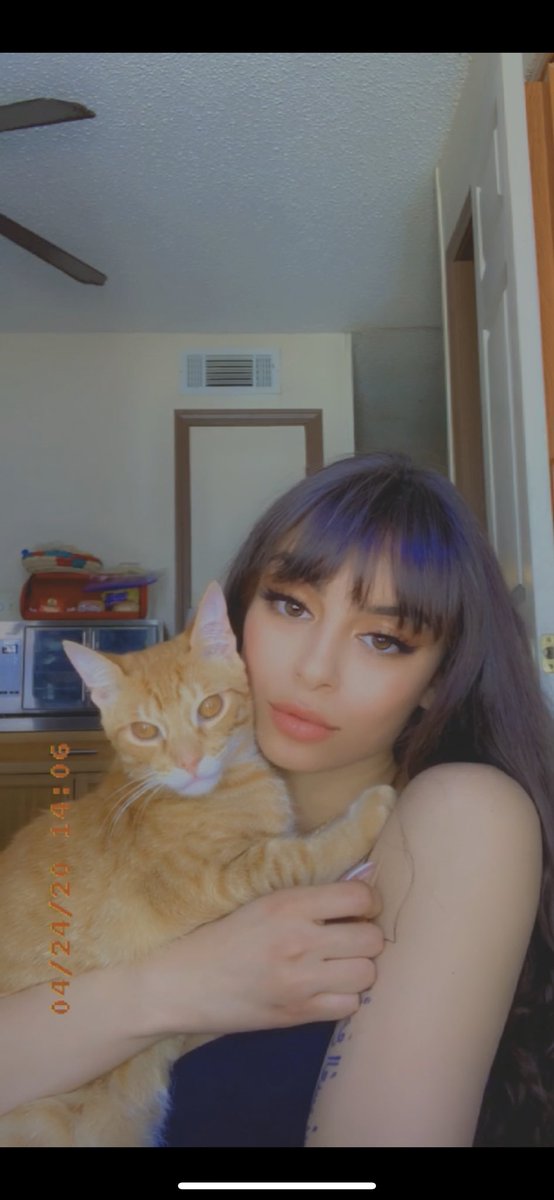 tharealdania's tweet photo. Heres some pussy pics😘😉 https://t.co/r3fim0XxXp