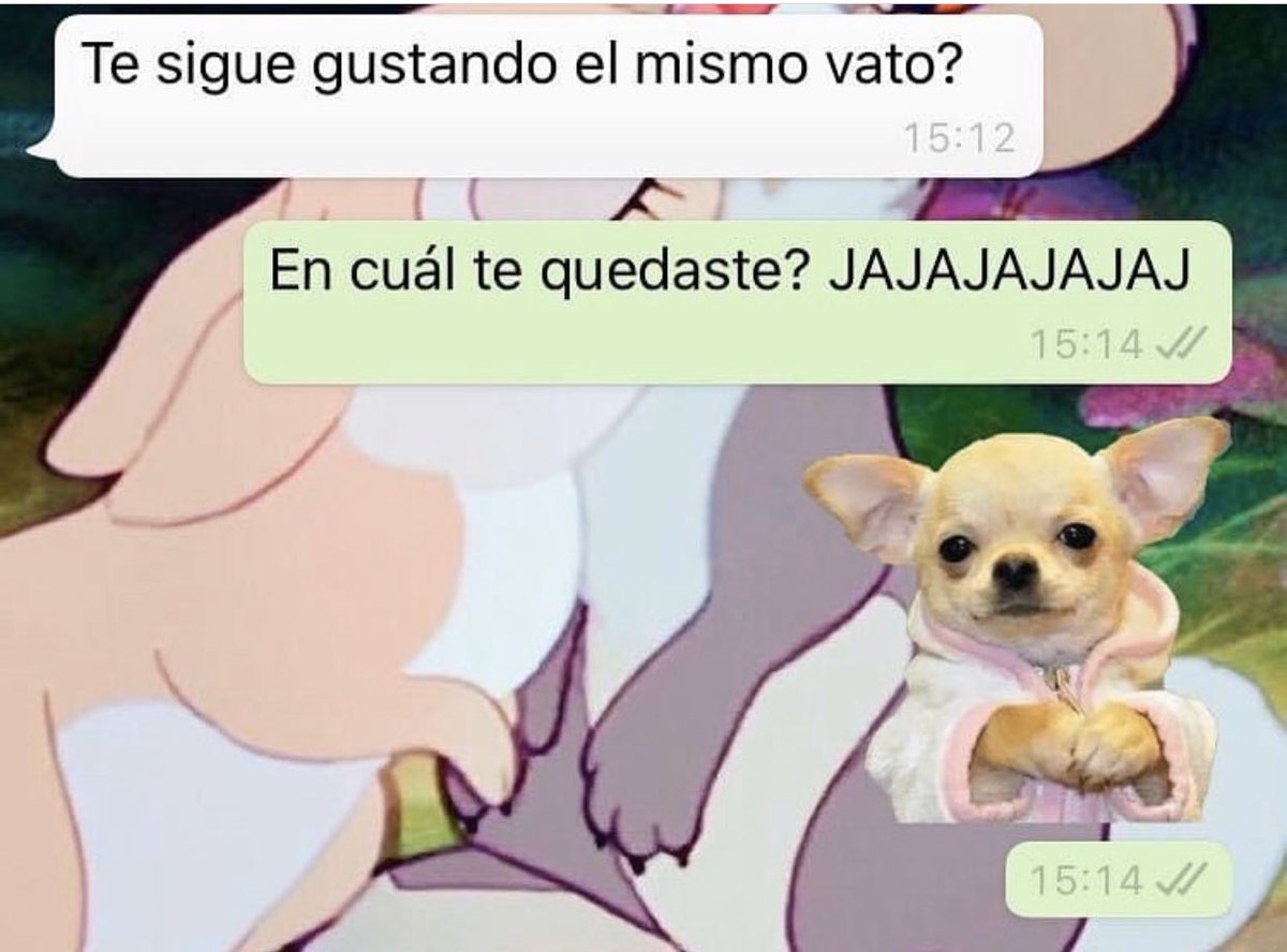 JimenaLog's tweet photo. JAJAJAJA 🤭🤭 https://t.co/vqrTCZ70TT