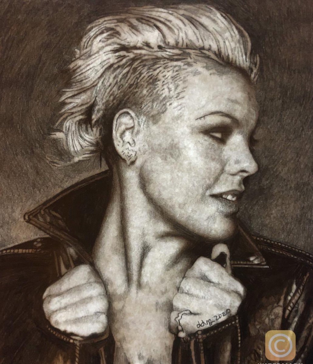 “True beauty is knowing who you are and what you want and never apologizing for it.” <a href="/Pink/">P!nk</a> #FridayFeeling 

Pencil Sketch by Dianne Meinke
DDMeinke LLC 2020 ©