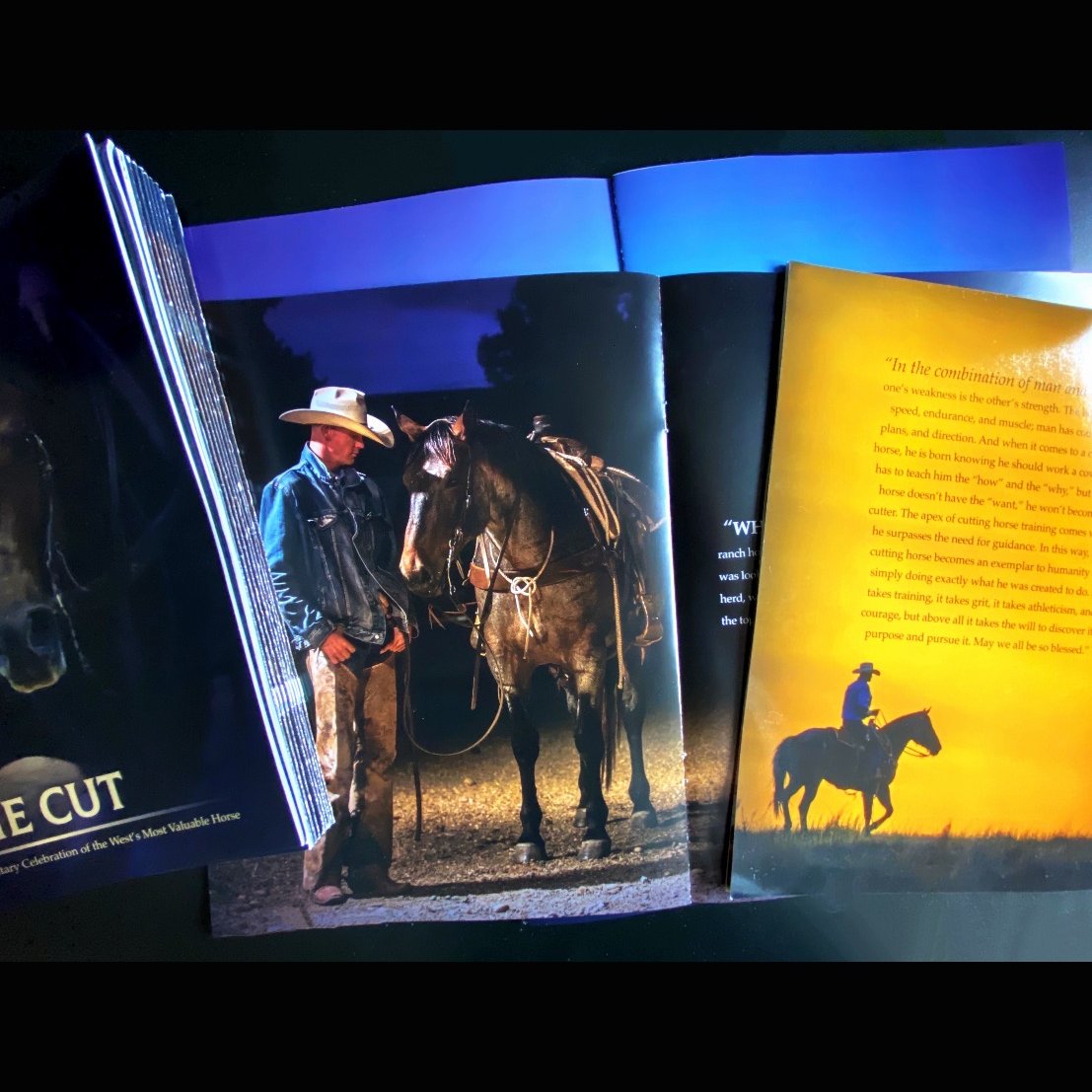 Having a strong lookbook is key when pitching a film project to investors. Hot off the press - here are a few pages from the lookbook for The Cut, a documentary currently in #postproduction. #filmproduction #documentaryfilm #cuttinghorse #futurity #ncha cuttinghorsedoc.com