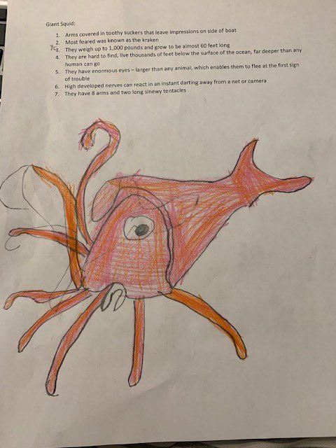 DTFourthGrade's tweet photo. Non-Fiction Friday 😀 The students learned about sea creatures and demonstrated their learning by creating posters. 🐙🦑 https://t.co/G1mrADMM4Z