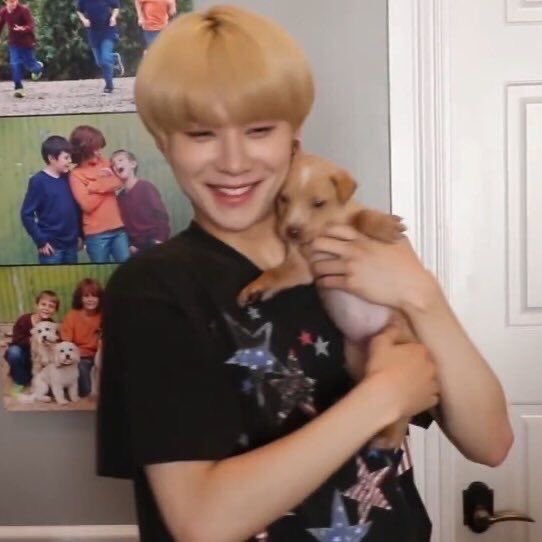 Jungwoo-loves it-puts them in the cart when your not looking-his favorite one is the mac and cheese one