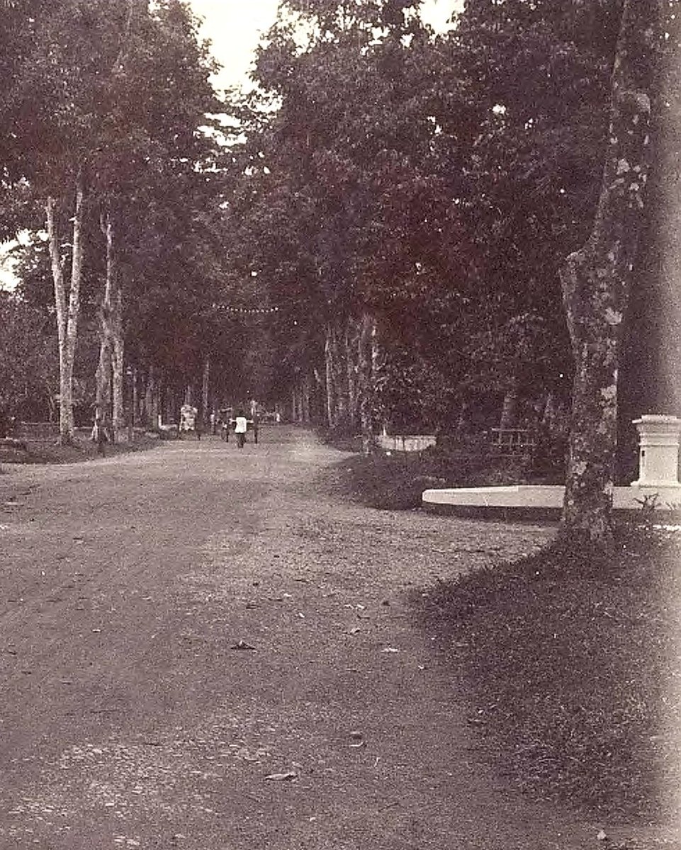 potolawas's tweet photo. Potret dua wanita Eropa di sepanjang jalan, mungkin di Sumatra sekitara tahun 1910.
•
📸: Leiden University Libraries
•
#potolawas #potolawassumatra #sumatra #exploresumatra #visitsumatra https://t.co/IkNcdNhT9W