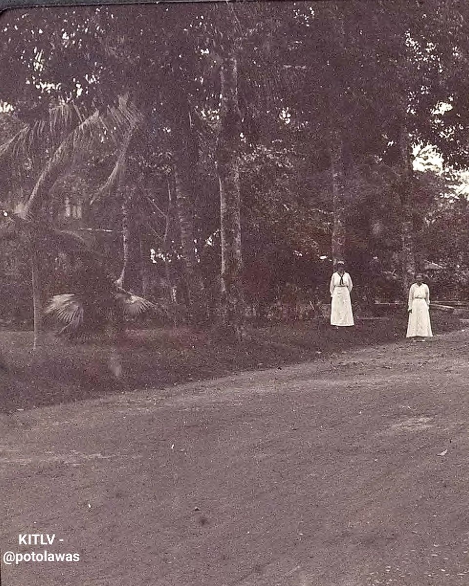 potolawas's tweet photo. Potret dua wanita Eropa di sepanjang jalan, mungkin di Sumatra sekitara tahun 1910.
•
📸: Leiden University Libraries
•
#potolawas #potolawassumatra #sumatra #exploresumatra #visitsumatra https://t.co/IkNcdNhT9W