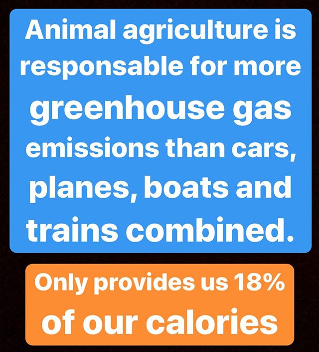 oneshiftorg's tweet image. Stopping animal agriculture has more benefits to the environment than removing all cars from the rods (Oxford study)

#plantbased #onshift #veganism