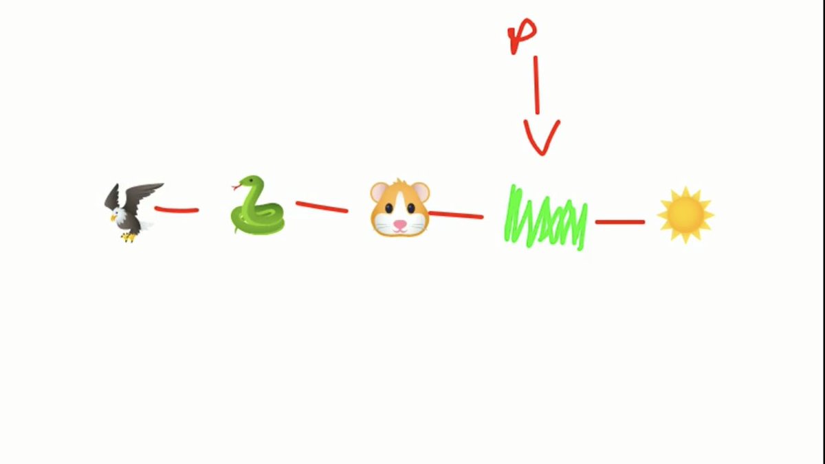 TamGranger's tweet photo. One big distance learning win- students get to show their learning in creative ways that work for them using what they have at home!  💗 Check out these 4 unique food chains!  🐛 🏠 😂 @CannellaElem @HCPSElemScience @HCPSArea2 @Flipgrid https://t.co/szWyeA6uiU
