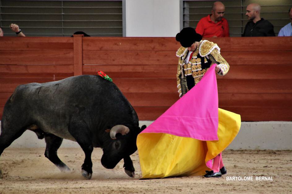 📷Bartolomé Bernal