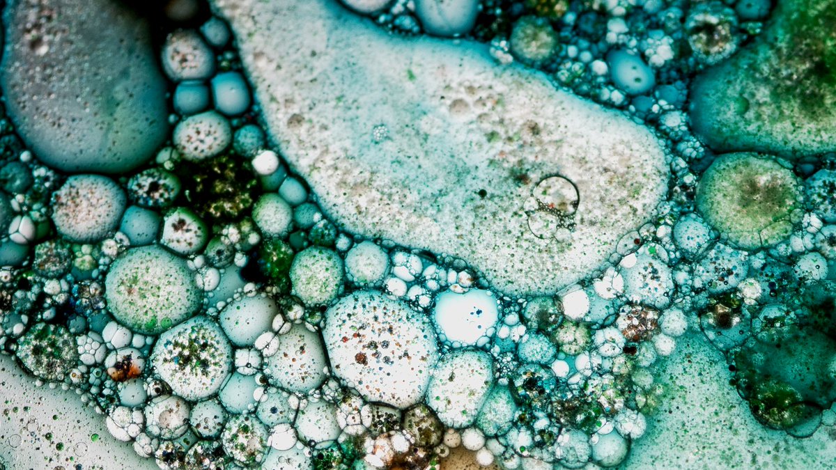 SceneSprout's tweet image. Filming a @mammalzpbc exclusive How-To on these Abstract Macro Photos you can do at home! Go to mammalz.com and follow me at
mammalz.com/profile/153 to see the moment it goes up! #scenesprout #mammalz #abstractmacrophotography #macrophotography