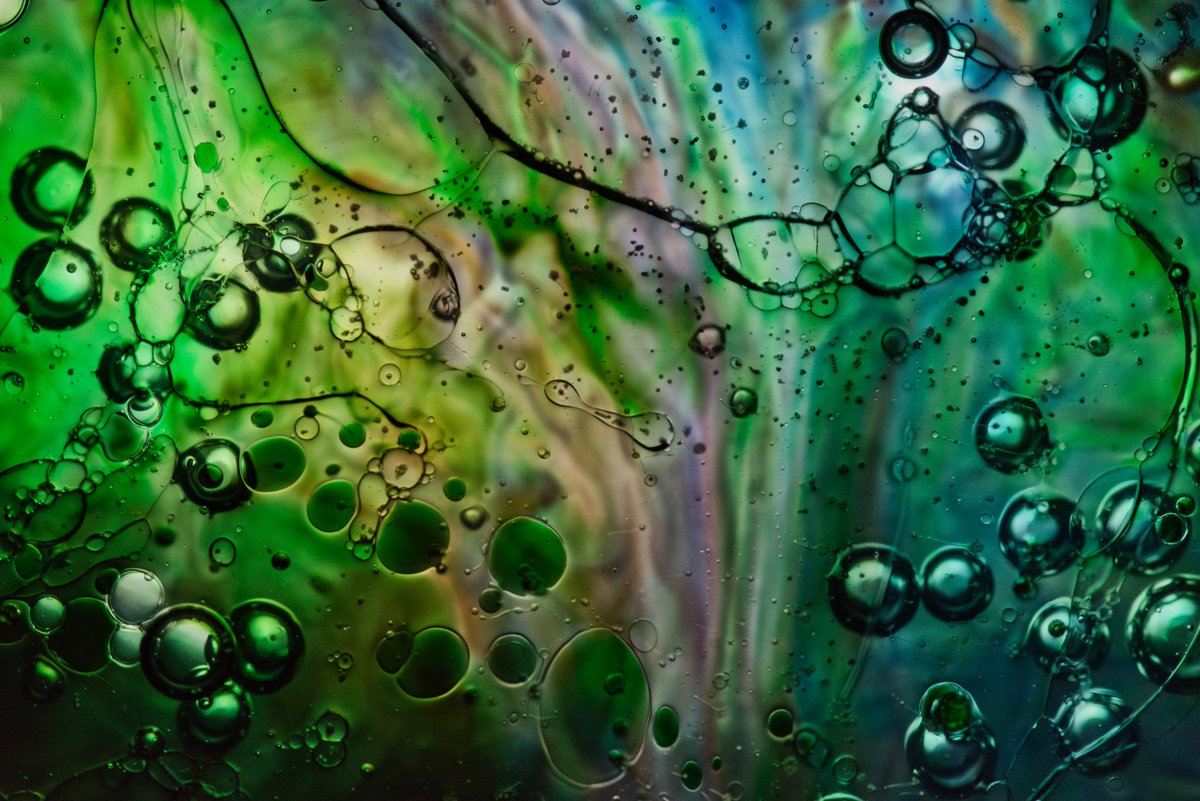 SceneSprout's tweet image. Filming a @mammalzpbc exclusive How-To on these Abstract Macro Photos you can do at home! Go to mammalz.com and follow me at
mammalz.com/profile/153 to see the moment it goes up! #scenesprout #mammalz #abstractmacrophotography #macrophotography