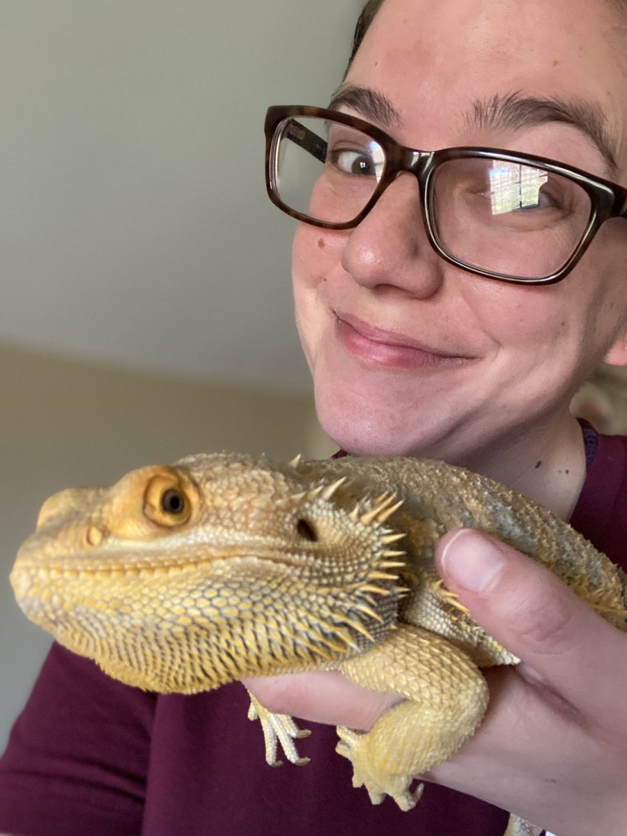 Sarah Roberts tweet media