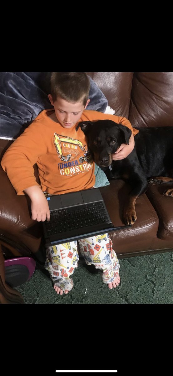 DennisonsDen's tweet photo. More great pics of our kiddos Learning from Home. From academics to PE, we love school and can’t wait to be back together!! @AtkinsonElem @HCPSNC #LearnFromHome https://t.co/tsiF8rx07r