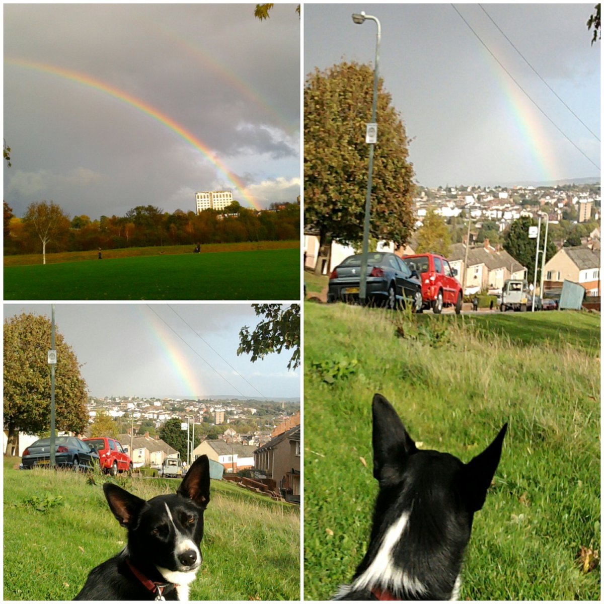 soraj57's tweet photo. When it rains look for #rainbows 
Everything will be alright in the end
Positive words to stand by https://t.co/mIdUkGLTID