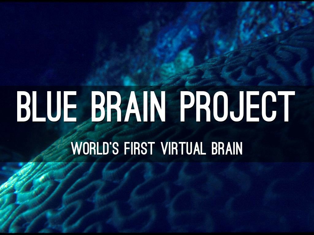 Brain project