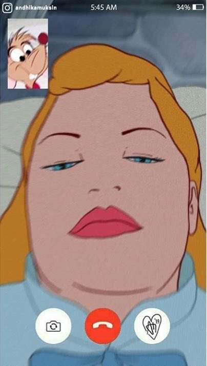 rosette2010 tweet media