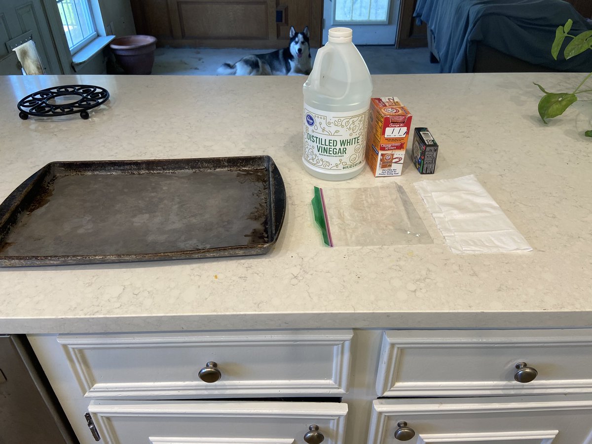 LauraStokes_hhs's tweet photo. #ElevateToExcellence Humble HS life skills students engaged in a fun science experiment called the exploding lunch bag. We combined baking soda and vinegar in a ziploc bag! Pop!!! Thanks everyone for a job well done. Have a great weekend. @LauraStokes_hhs https://t.co/RhLQoCBnh5