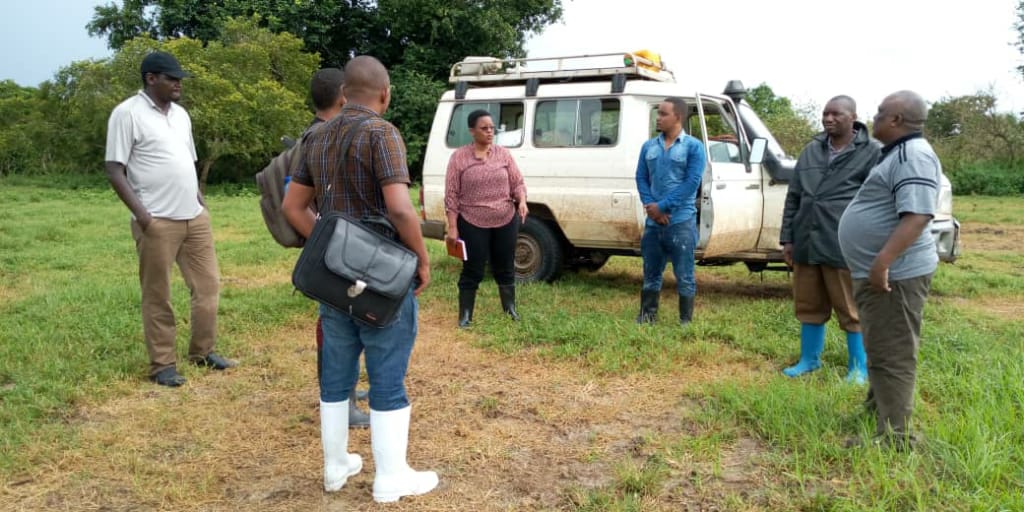 Maafisa Mifugo kutoka Wizara ya Mifugo na Uvuvi wakimsikiliza kwa makini  Mtafiti kutoka TALIRI Bi. Neema Urrasa  wakati akiwashirikisha jambo kabla ya kuanza kuchagua ng'ombe kwa ajili ya maandalizi ya uhimilishaji kwenye kata ya Magawa wilayani Mkuranga  (23/04/2020)