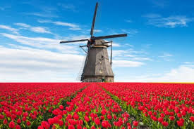 SeminariumvO's tweet photo. We wensen al onze studenten #MasterEN een fijne meivakantie! Ze hebben een topprestatie geleverd door online onderwijs voor leerlingen te verzorgen en zelf daarnaast online te studeren! https://t.co/YVNFPFPsmT