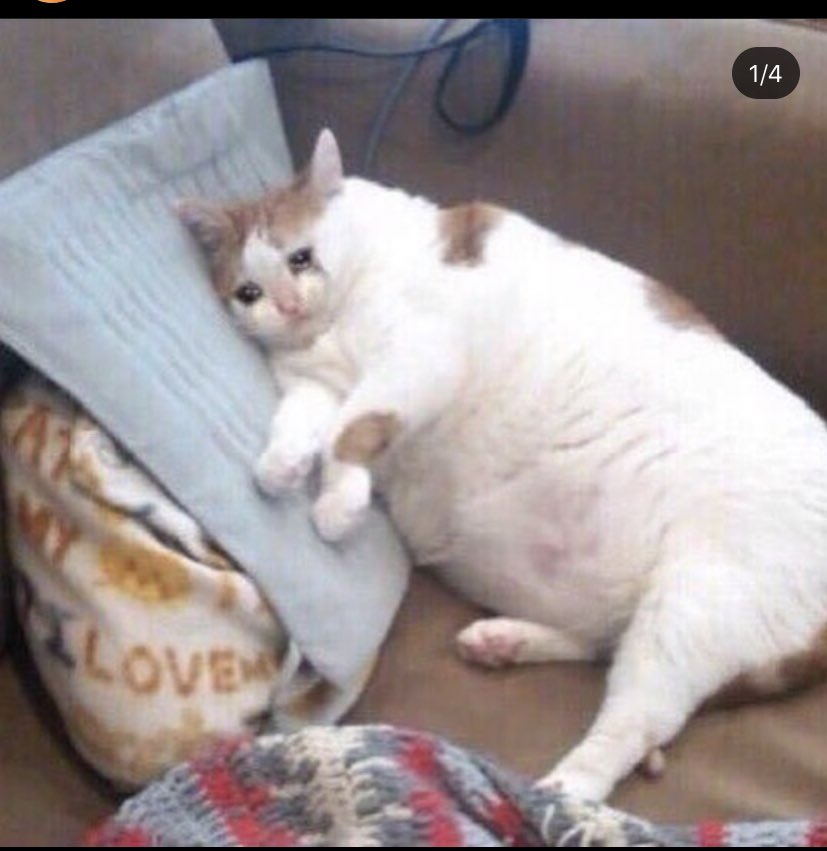 snatalie_aha's tweet photo. I genuinely miss most of my professors and seeing everyone’s announcements about final assignments is lowkey making me sad https://t.co/Lq1YnL4NHq