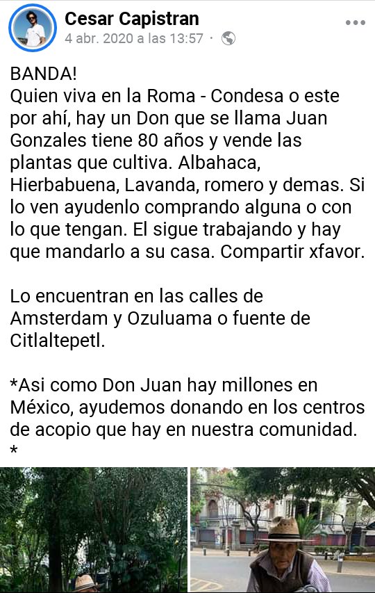 Belinda_GaVa's tweet photo. At'n. Col. #Roma-#Condesa, Don Juan González tiene 80 años y vende las plantas que cultiva (albahaca, hierbabuena, lavanda, romero etc.). Lo encuentran en las calles de Amsterdam y Ozuluama o fuente de Citlaltepetl.
Link de la pub.:
https://t.co/DoKegt4UHh

#CdMx #EdoMéx
#México https://t.co/TQl3q4IVyA