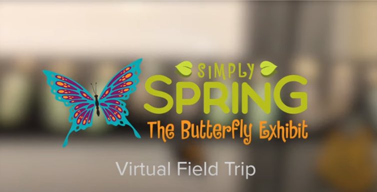 mlutz108's tweet photo. I successfully took 16 kids on a #VirtualFieldTrip today. Much different than a typical field trip but I think fun was had by all. Thanks #NicholasConservatory #WCE2ndGrade @WCE_HCS #RemoteLearningInHenry @Sci_HCS https://t.co/F8YfOhBHOR