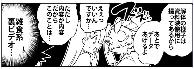 おはようございます。桐谷さん作画中。雑食系裏ビデオ。 