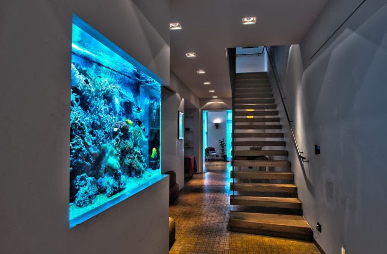 Choose one: aquarium idea