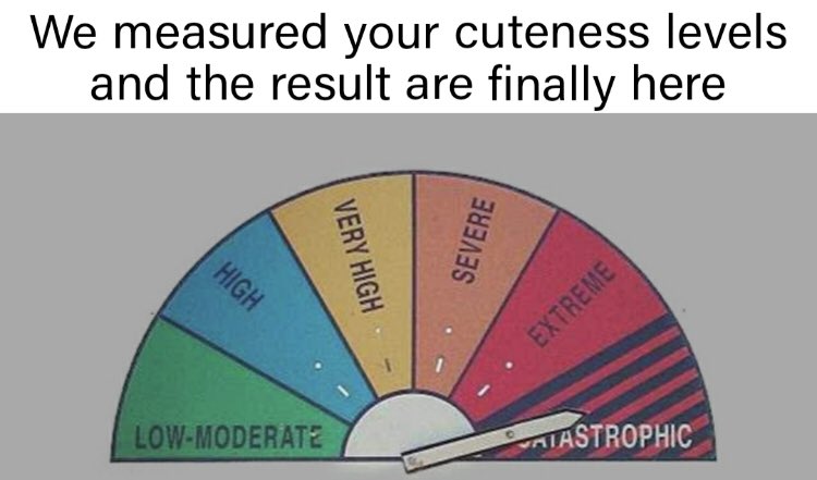 RespectfulMemes's tweet image. 