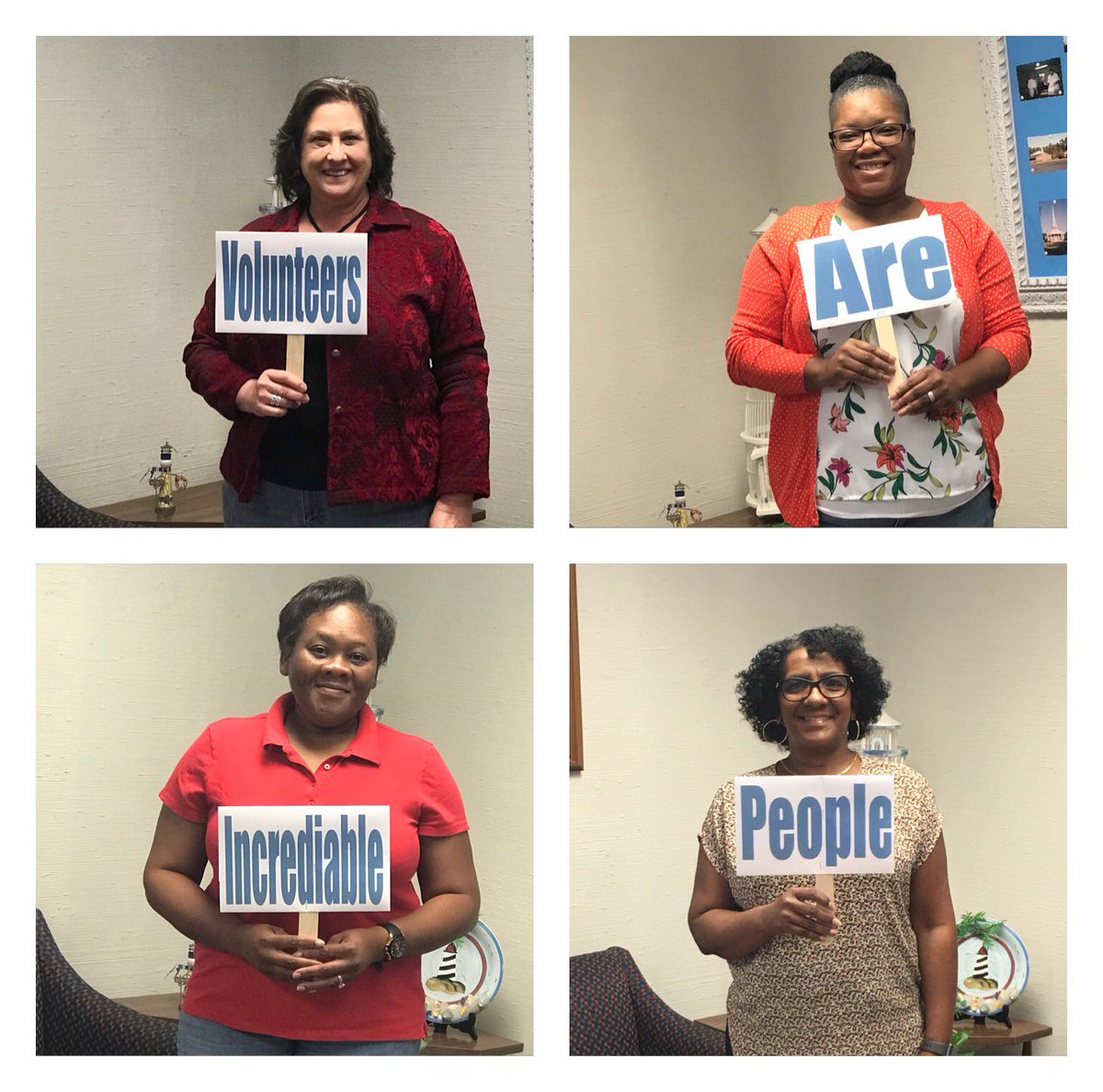 OUR volunteers ARE incredible!