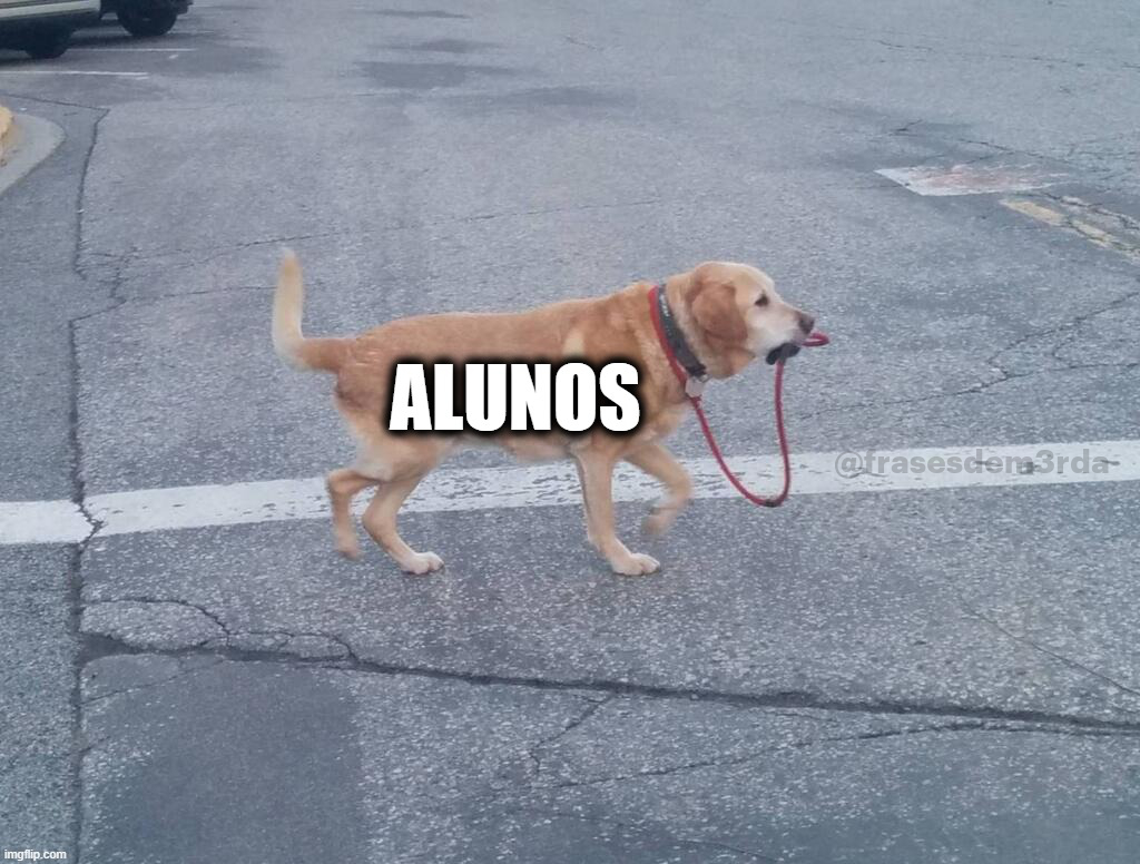 Aulas online, descrição gráfica