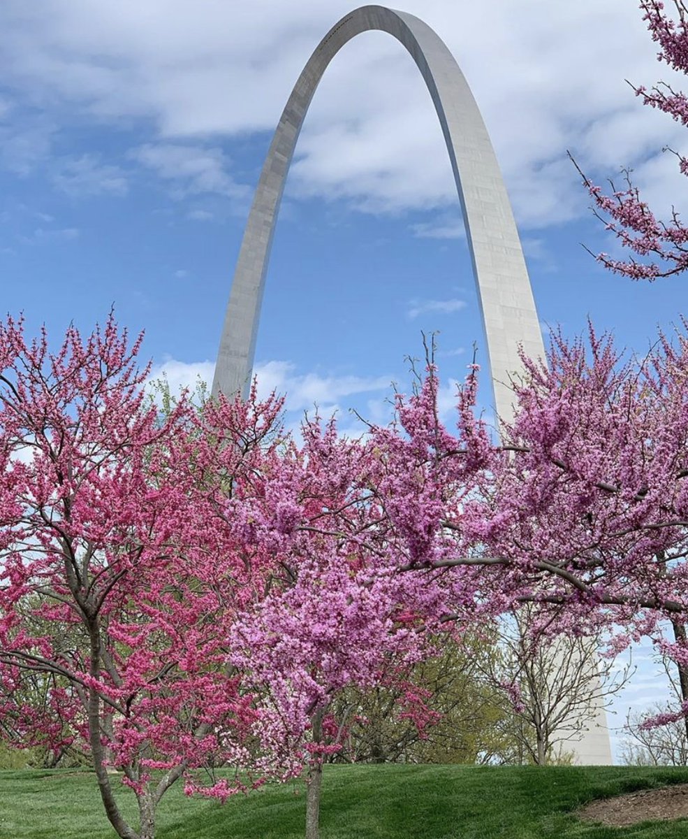 DowntownStLouis's tweet photo. There are signs of Spring all over #DowntownSTL. ๐ท๐ธ Help spread the sunshine and share your favorite seasonal shots with us! #springinstl
๐ท: glenmadestudios, kaul_me_brandon, mr.saintlouis on Instagram! https://t.co/ErRc59Guyp