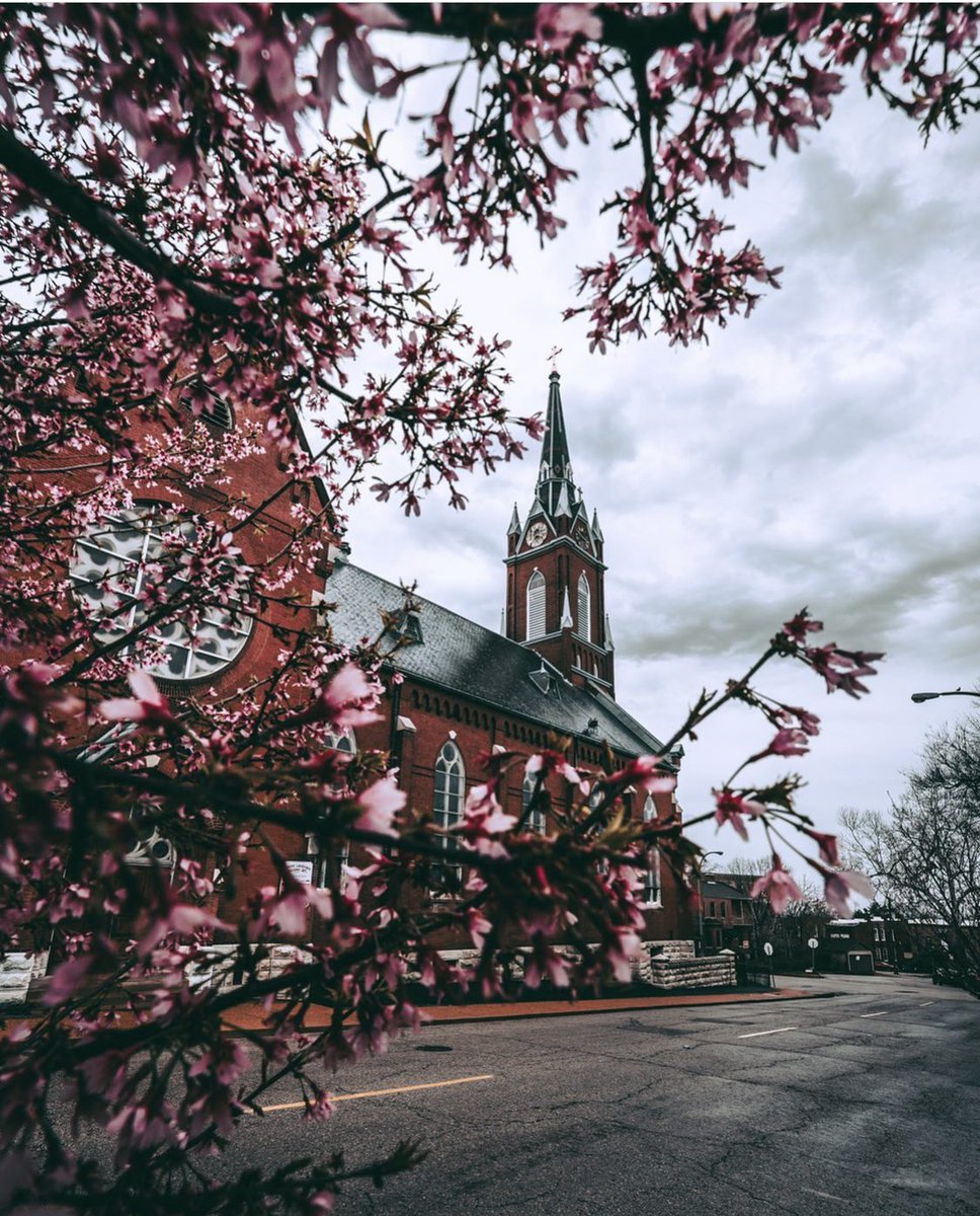 DowntownStLouis's tweet photo. There are signs of Spring all over #DowntownSTL. ๐ท๐ธ Help spread the sunshine and share your favorite seasonal shots with us! #springinstl
๐ท: glenmadestudios, kaul_me_brandon, mr.saintlouis on Instagram! https://t.co/ErRc59Guyp