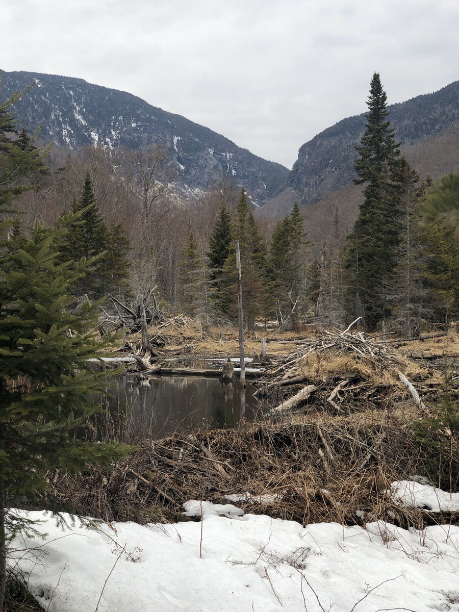 “Be patient and tough; one day this pain will be useful to you."

Ovid