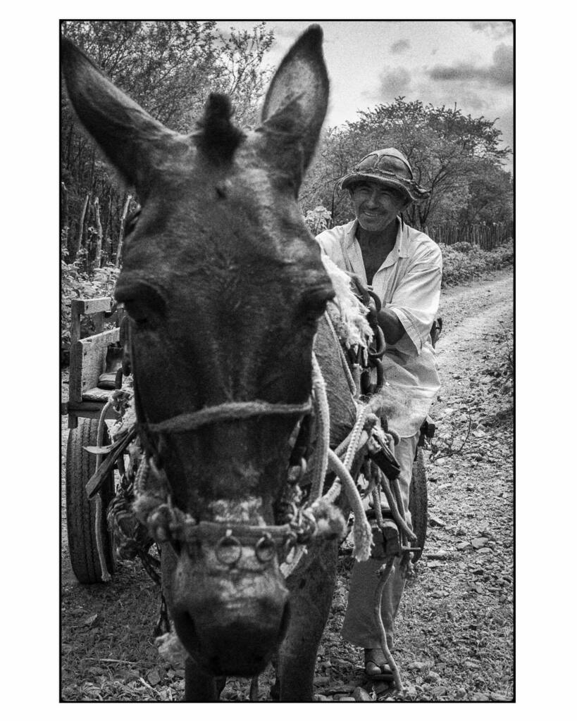 josedewagner's tweet photo. 🎼 E agora José?!
•
•
•
#sertao #sertanejo #cearense #rural #agricultor #gentefina #pb #bw #bnw #pictureoftheday #blackandwhite #fineartphotography #printfineart #canon #gallery #josedewagner #wagner https://t.co/WiqsMjp3kH