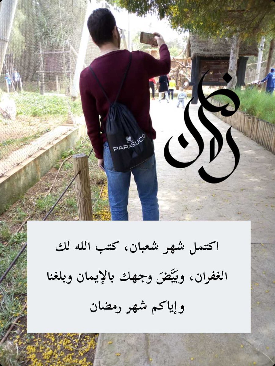 Mohamed (@mohamed65056318) on Twitter photo 