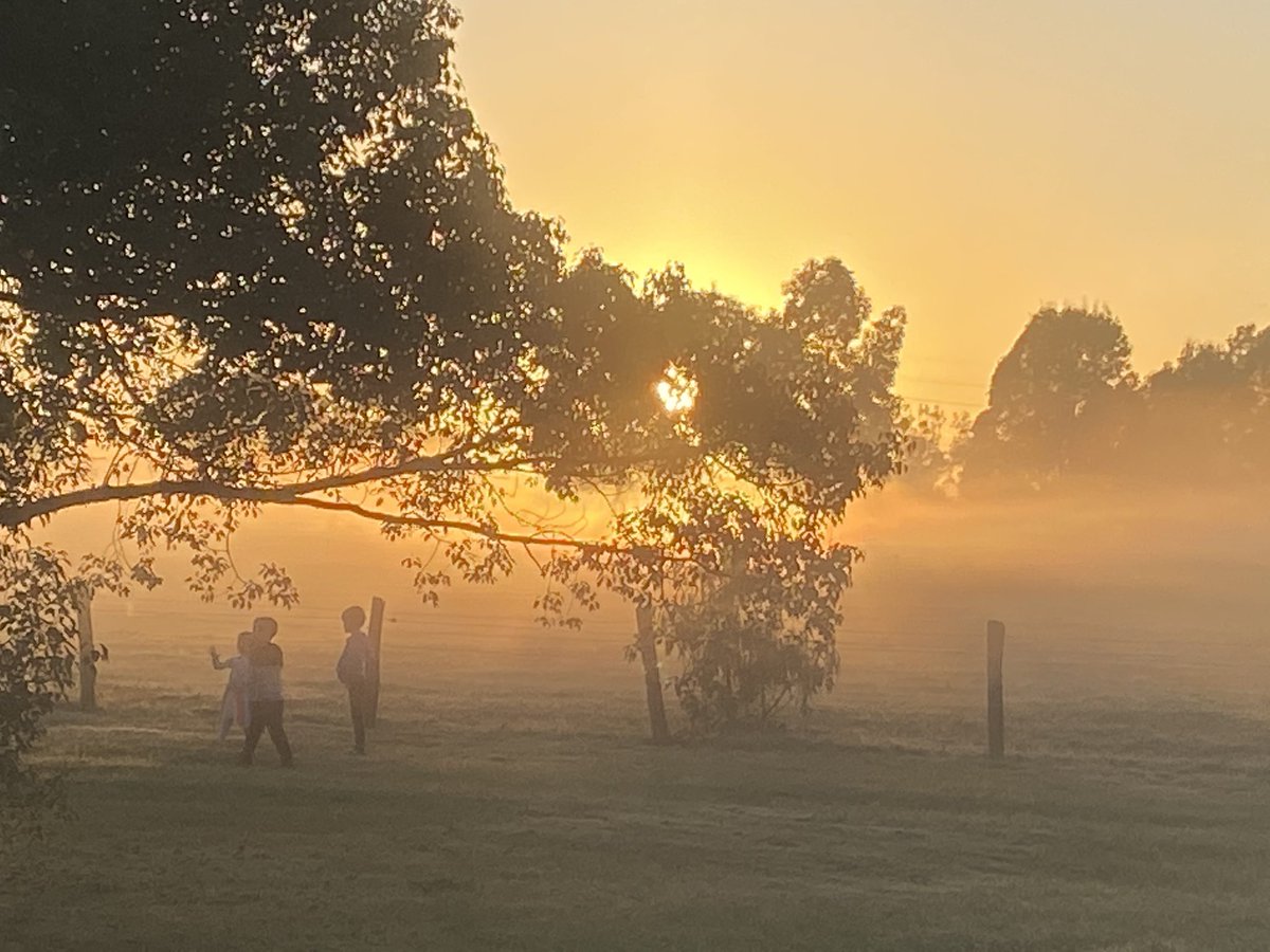 Post #ANZAC driveway ceremony play in the fog <a href="/abcbrisbane/">ABC Brisbane</a> Corinda Pony Club
