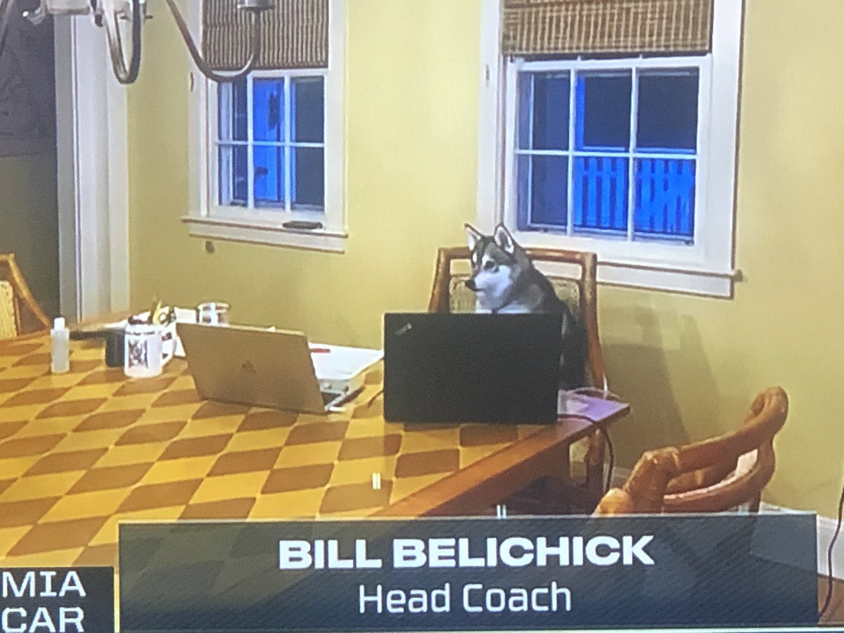 SWhyno's tweet photo. Good pick, Bill. https://t.co/U7Emw7oIhr