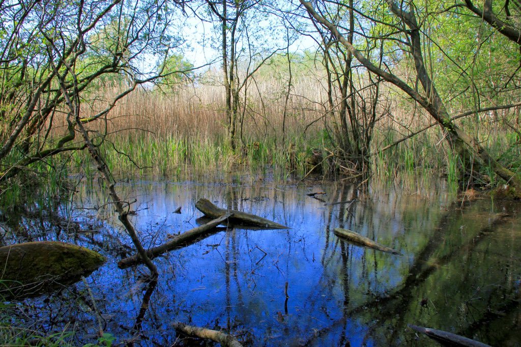 MadameFlora's tweet photo. Out on my bike today for #OneADayExercise discovered a wonderful nature reserve and much of interest pedalling around local villages, so fortunate to live in a rural area. https://t.co/RXfnAWbLTN