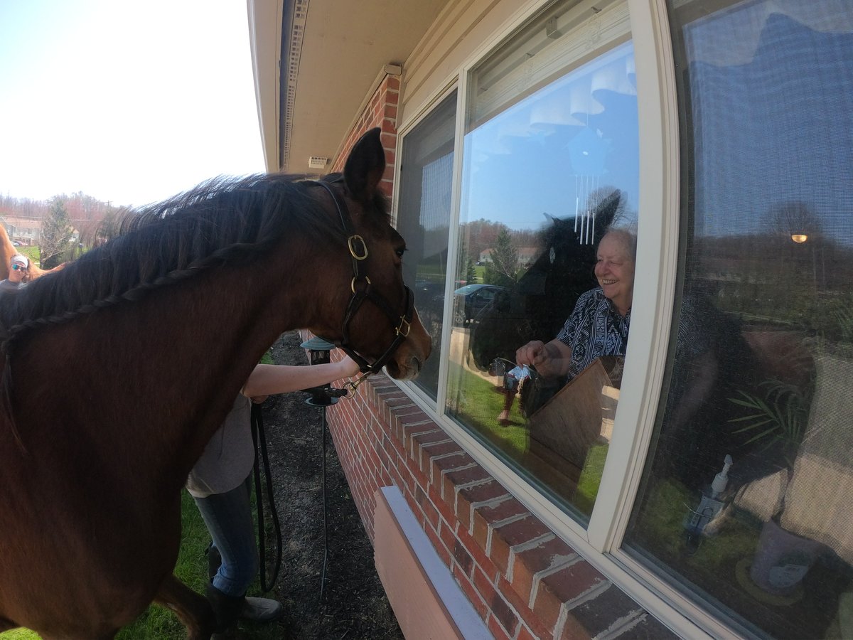 WillUjek's tweet photo. Today's mane event for residents at an assisted living facility in Kent was a parade of horses. Some didn't think it would work, but those in charge said neigh. #3Features https://t.co/9qZR3d7REH