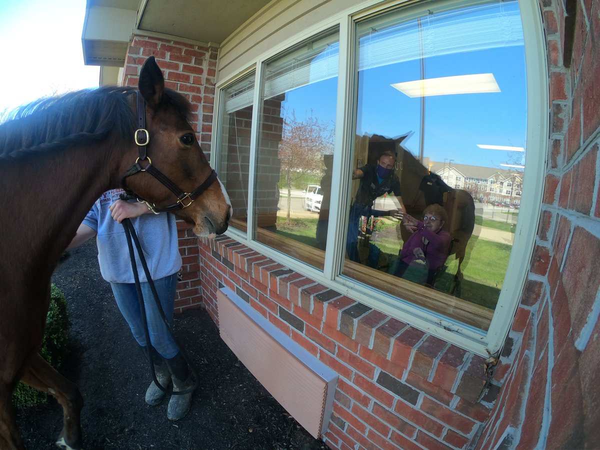 WillUjek's tweet photo. Today's mane event for residents at an assisted living facility in Kent was a parade of horses. Some didn't think it would work, but those in charge said neigh. #3Features https://t.co/9qZR3d7REH
